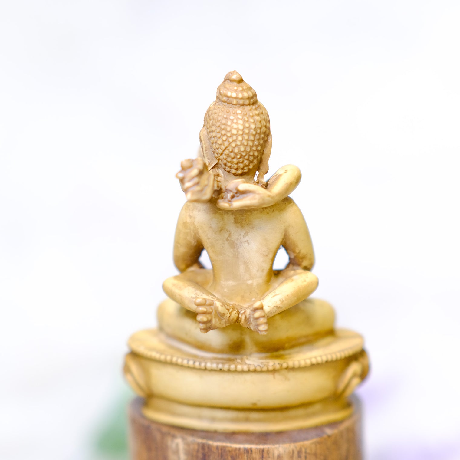 SamantaBhadra Buddha Statue