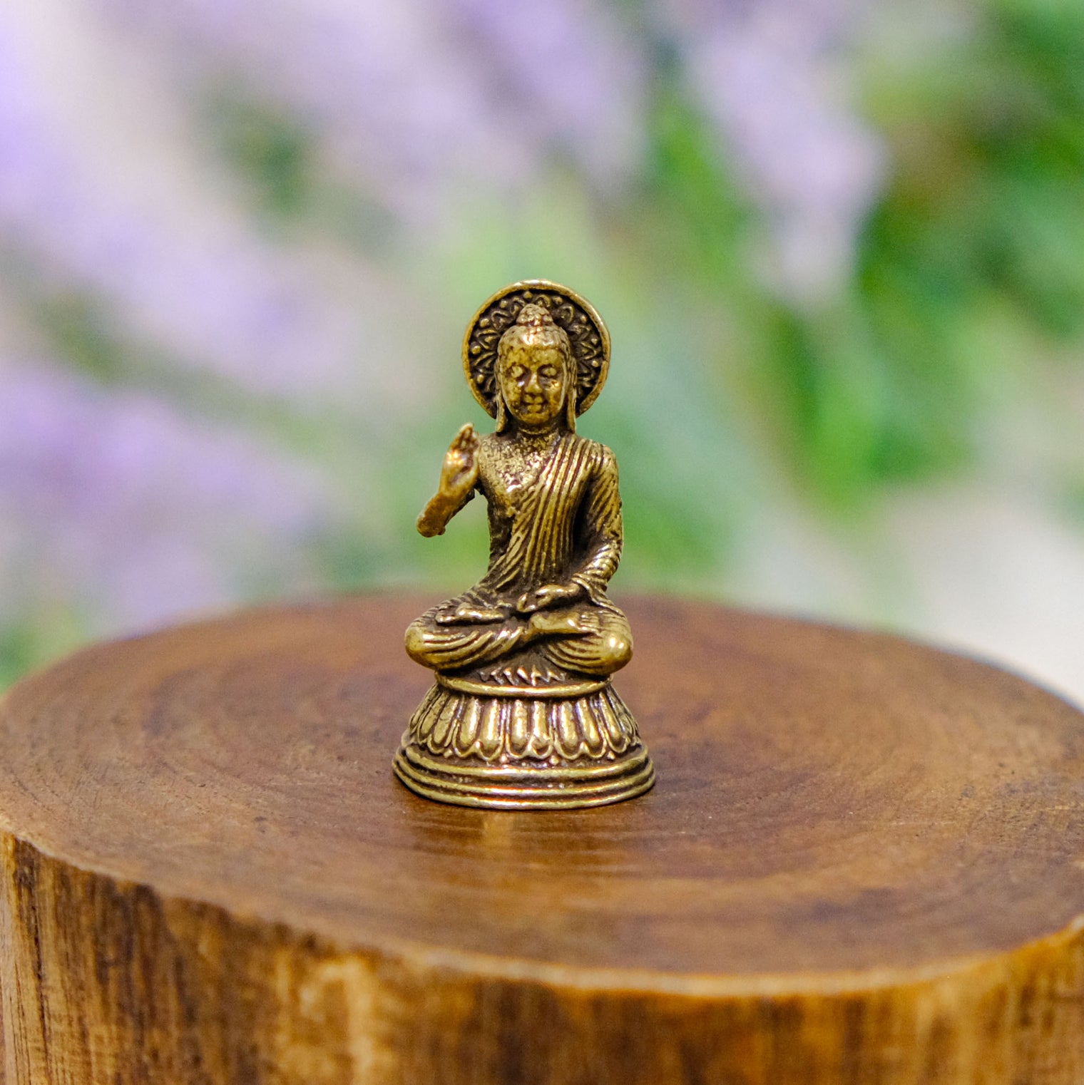 Brass Blessing Buddha Statue