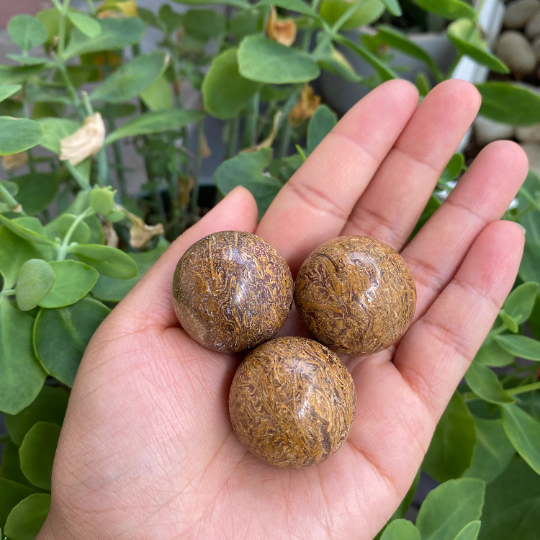 Mushroom Rhyolite Crystal Sphere, Polished Rainforest Sphere, Round Gemstone Balls, Reiki and Chakras, Stabilizing Stone, Protective Crystal