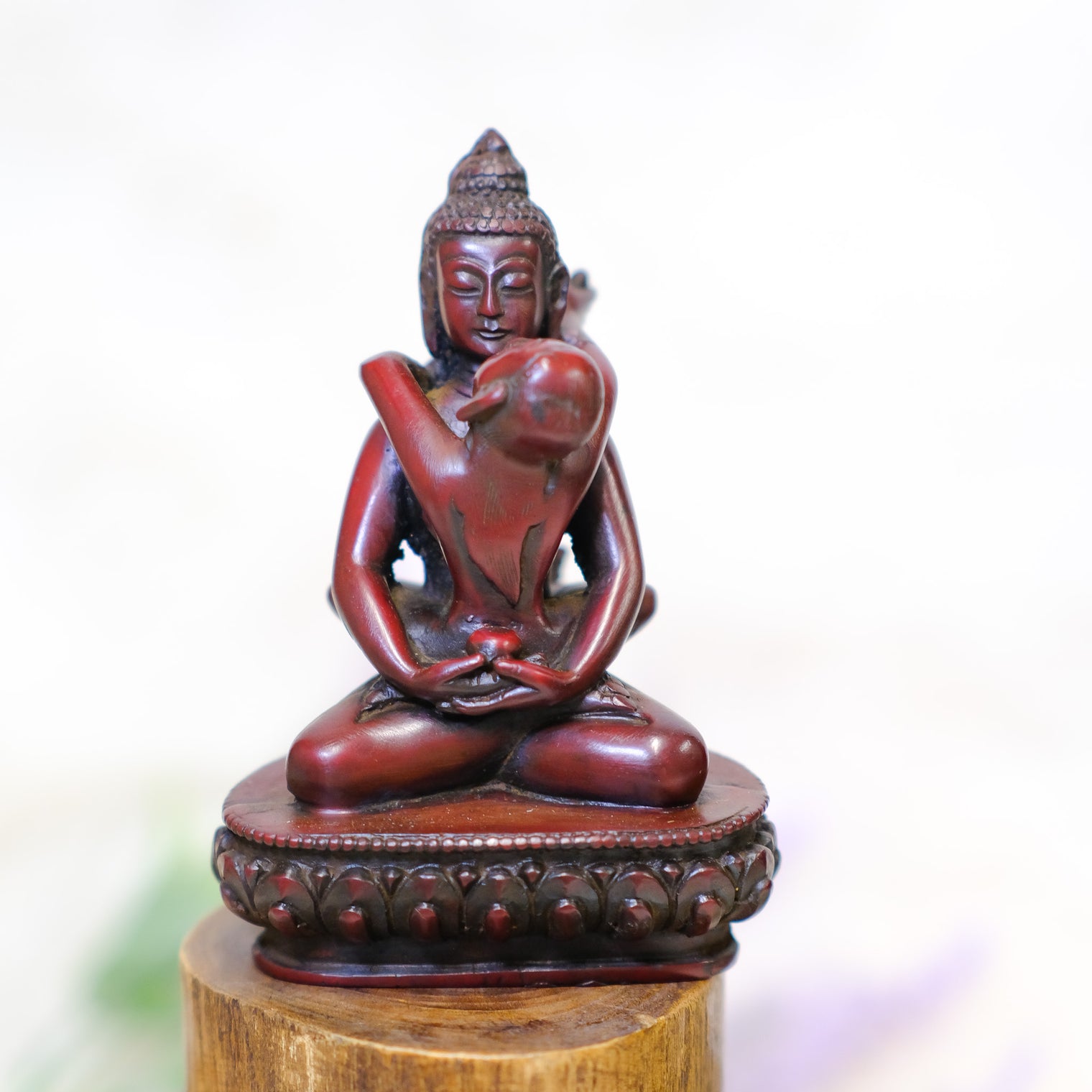 SamantaBhadra Buddha Statue