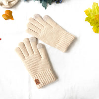 Winter Insulated Fleece Lined Gloves