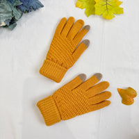 Winter Knitted Style Gloves with Touch Screen