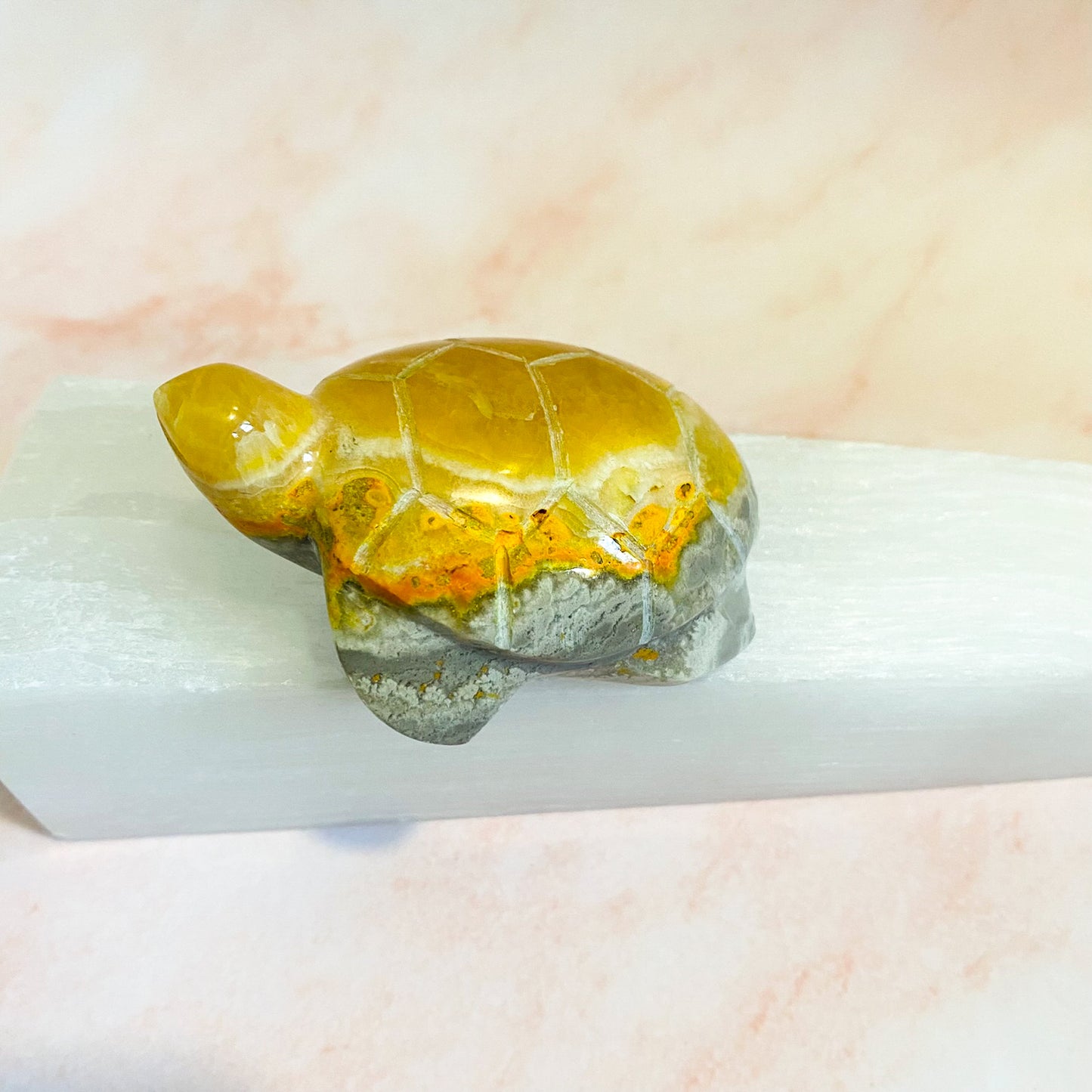 Bumble Bee Jasper Turtle Carvings, Handmade Gemstone Decor, Healing Crystal, Stone for Happiness and Joy, Longevity , Crystal Lover Gift
