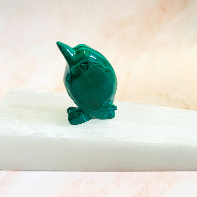 Malachite Dolphin Carvings, 2.3" Dolphin Crystal, Stone of Transformation, Crystal Carvings, Hand Carved Dolphin Decor