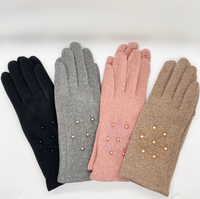 Winter Touch Screen Gloves with Fleece Lining