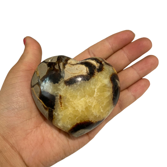 Yellow Septarian Heart Crystal, Heart Crystal, Polished Dragon  Stone, Heart Gifts, Brown Aragonite, Palm Stone, Healing Protective Stone