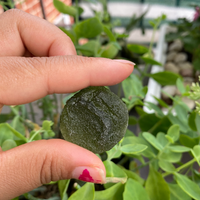 Raw Moldavite Crystal, Natural Moldavite, 2.8 gram to 11.33 gram,Genuine Authentic stone For Protection, Self Healing Stones, Chakra Healing